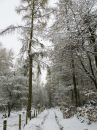 IMG_0809M.jpg