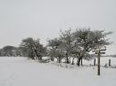 IMG_0820M.jpg