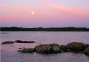 IMG_0848-copy.jpg