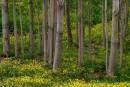 IMG_1076a.jpg