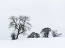 IMG_1112M.jpg