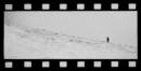 IMG_1114c_film.jpg