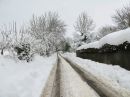 IMG_1120M.jpg