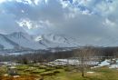 IMG_1160a.jpg