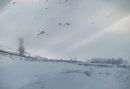 IMG_1167b.jpg