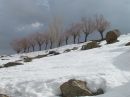 IMG_1173a.jpg