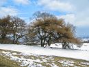 IMG_1244M.jpg