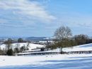IMG_1267M.jpg