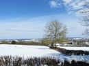 IMG_1273M.jpg