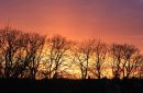 IMG_1386-001.jpg