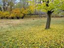 IMG_1516b.jpg