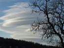 IMG_1594M.jpg
