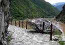 IMG_2113_edited-1.jpg