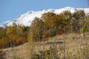 /gallery/data/2/thumbs/IMG_2237a.jpg