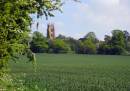 IMG_2414_edited-1.jpg
