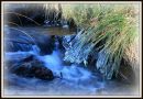 IMG_2489_sm.jpg