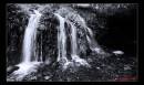 IMG_2586-2-Edit.jpg
