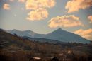 IMG_2768b.jpg