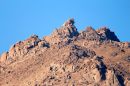IMG_3346aTam_150-600_Kenko_1_4x_2.jpg