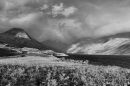 IMG_3540_b_w.jpg
