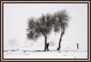 IMG_3645b.jpg