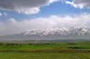 IMG_3676a.jpg