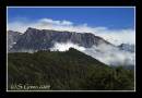 IMG_3982d.jpg