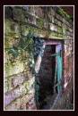 IMG_4035-09.jpg