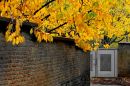 IMG_4308b.jpg
