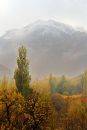 IMG_4363b.jpg