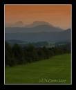 IMG_4598d.jpg