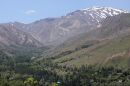 IMG_4682a_100-400_L.jpg