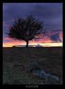 IMG_4853_copy.jpg