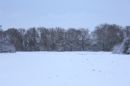 IMG_5668dpdpprs.JPG