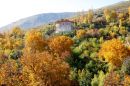 IMG_6926a.jpg