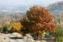 IMG_6931b.jpg