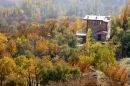 IMG_6958a.jpg