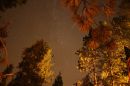 IMG_7363.jpg