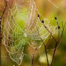 IMG_7629.jpg