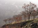 IMG_7683a.jpg