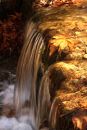 IMG_8254_wv.jpg