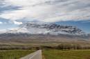 IMG_8350a.jpg