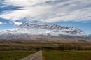 IMG_8350a1.jpg
