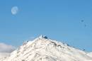 IMG_8624a.jpg
