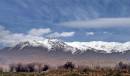 IMG_8643a.jpg