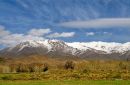 IMG_8643ab.jpg
