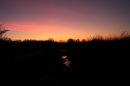 IMG_8833dpp.JPG