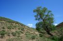 IMG_9080.jpg