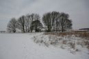 IMG_9168.JPG