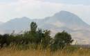IMG_9869a.jpg